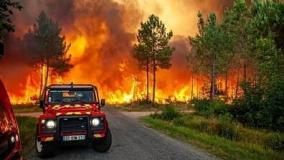 فاجعه آتش‌سوزی جنگلی نزدیک شهرداری اورنسه در اسپانیا | 12 مرداد 1404