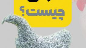 توری مرغی | معرفی و کاربردها