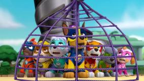 انیمیشن سگهای نگهبان -سگ نگهبان دوبله فارسی سگهای نگهبان - سگهای نگهبان جدید