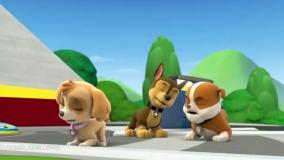 انیمیشن سگ های نگهبان, سگهای نگهبان دوبله فارسی, کارتون سگهای نگهبان جدید