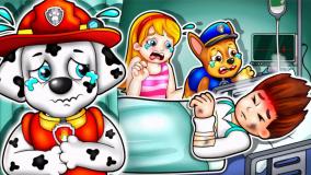 سگهای نگهبان تقصیر کیه؛ انیمیشن سگ های نگهبان؛ سگهای نگهبان؛ کارتون سگ نگهبان