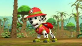 سگ های نگهبان دوبله فارسی - انیمیشن &laquo; سگ های نگهبان &raquo;کارتون سگهای نگهبان