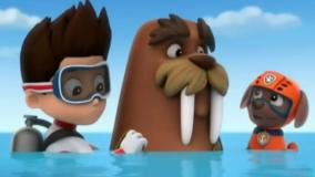 کارتون جذاب سگ های نگهبان/ انیمیشن خنده دار سگ نگهبان / سگهای نگهبان دوبله فارسی