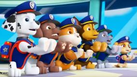 انیمیشن سگهای نگهبان -سگ نگهبان دوبله فارسی سگهای نگهبان - سگهای نگهبان جدید