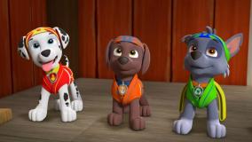 انیمیشن سگ های نگهبان // دانلود کارتون سگهای نگهبان // سگ های نگهبان دوبله فارسی