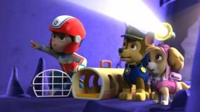 انیمیشن سگ های نگهبان _ سگهای نگهبان دوبله فارسی _ کارتون جذاب سگ های نگهبان