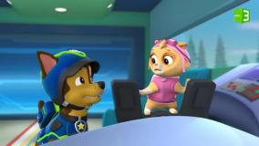 انیمیشن سگهای نگهبان-سگ نگهبان دوبله فارسی-سگهای نگهبان-کارتون سگهای نگهبان