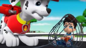 سگهای نگهبان/ دانلود سگ نگهبان/ انیمیشن سگ های نگهبان/ کارتون سگهای نگهبان