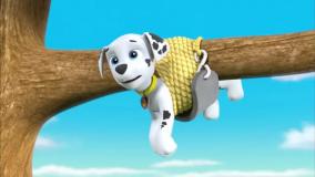 انیمیشن جدید سگهای نگهبان / سگ های نگهبان دوبله فارسی / دانلود کارتون سگ نگهبان