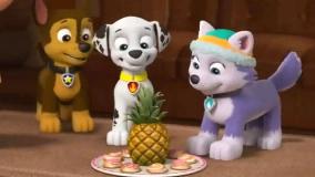 کارتون جذاب و دیدنی سگ های نگهبان - سگ نگهبان دوبله فارسی - انیمیشن سگهای نگهبان