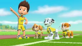 انیمیشن جذاب سگ های نگهبان // سگهای نگهبان دوبله فارسی // کارتون جدید سگ نگهبان