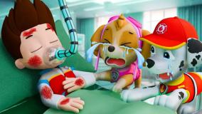 سگهای نگهبان;سگ نگهبان دوبله فارسی:انیمیشن سگهای نگهبان:کارتون سگهای نگهبان