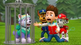 انیمیشن سگهای نگهبان -سگ نگهبان دوبله فارسی سگهای نگهبان سگهای نگهبان جدید