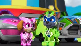 کارتون دوبله فارسی سگ های نگهبان : سگهای نگهبان پاترول ها : سگهای نگهبان جدید