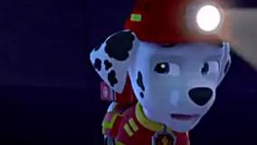 سگ نگهبان | انیمیشن سگ های نگهبان | سگ های نگهبان | کارتون سگهای نگهبان