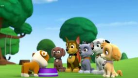 انیمیشن سگهای نگهبان ::  هاپوها تور رابل رو نجات دادن :: سگ های نگهبان