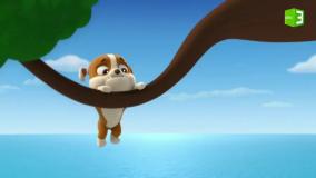 انیمیشن سگهای نگهبان -سگ نگهبان دوبله فارسی سگهای نگهبان - سگهای نگهبان جدید