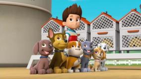 انیمیشن جدید سگهای نگهبان - سگ های نگهبان دوبله فارسی - دانلود کارتون سگ نگهبان