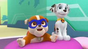 انیمیشن سگ های نگهبان || سگ های نگهبان دوبله فارسی || دانلود کارتون سگ نگهبان