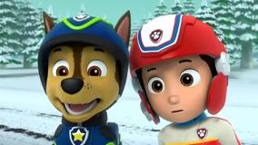 سگ های نگهبان جدید - کارتون سگ نگهبان دوبله فارسی - انیمیشن سگهای نگهبان