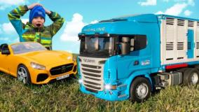 ماشین بازی کودکانه جدید | ماشین های اسباب بازی حمل حیوانات