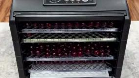 میوه خشک کن سنکور مدل SFD 6600BK
