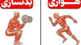 مقایسه علمی بین تمرین هوازی با بدنسازی برای چربیسوزی! (همین الان ببین)