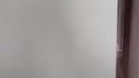 پروژه دالاهوو