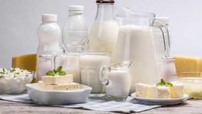 لبنیات در ایران در حال انقراض؟ آمار شوکه‌کننده مصرف لبنیات در ایران | 14 مرداد 1404