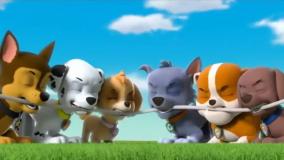 برنامه کودک سگهای نگهبان - دانلود انیمیشن سگ های نگهبان - سگهای نگهبان جدید