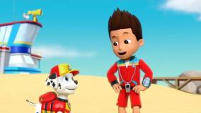 برنامه کودک سگهای نگهبان || سگ های نگهبان جدید || کارتون سگ های نگهبان دوبله شده