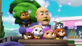 برنامه کودک جدید سگهای نگهبان | سگ های نگهبان دوبله فارسی | کارتون سگ های نگهبان