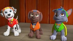 انیمیشن سگ های نگهبان / سگ های نگهبان دوبله فارسی / برنامه کودک سگهای نگهبان