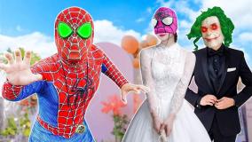 کارتون نبرد مرد عنکبوتی و اسپایدرمن | spiderman | دورهمی عنکبوتی!