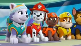 برنامه کودک سگ های نگهبان _ دانلود انیمیشن سگ های نگهبان دوبله فارسی