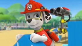 دانلود کارتون جدید سگ ها - برنامه کودک سگهای نگهبان - سگ های نگهبان جدید