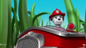 برنامه کودک سگهای نگهبان || سگ های نگهبان جدید || کارتون سگ های نگهبان دوبله شده