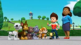 انیمیشن سگهای نگهبان جدید , برنامه کودک سگ های نگهبان , سگهای نگهبان دوبله فارسی