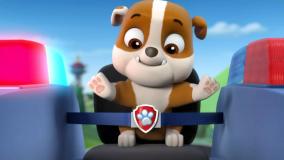 برنامه کودک سگ های نگهبان ، سگ نگهبان دوبله فارسی ، انیمیشن سگهای نگهبان