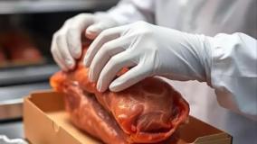 ۵ نکته کلیدی برای نگهداری ایمن گوشت و مواد پروتئینی در سردخانه