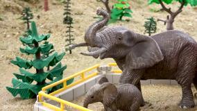 کارتون ماشین بازی بیبو جدید ماشین های مک کویین | انیمیشن ماشین بازی رنگی