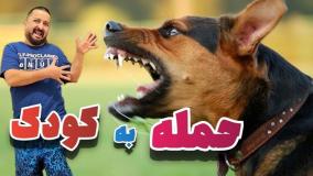 نجات جان کودک توسط پدر هندی در لحظات آخر حمله سگ درنده | 18 مرداد 1404