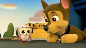 سگ های نگهبان جدید / دانلود کارتون سگ های نگهبان / انیمیشن سگهای نگهبان