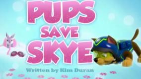 انیمیشن سگ های نگهبان جدید | سگهای نگهبان جدید | نجات اسکای