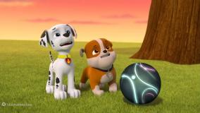 سگهای نگهبان دوبله فارسی - انیمیشن جدید سگ های نگهبان - دانلود کارتون سگ نگهبان