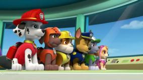 سگ های نگهبان جدید - برنامه کودک سگهای نگهبان - سگ نگهبان دوبله فارسی