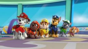 برنامه کودک سگ های نگهبان // سگ نگهبان دوبله فارسی // انیمیشن جذاب سگ های نگهبان