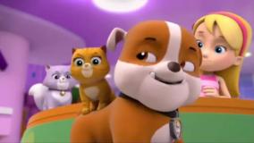 کارتون سگ های نگهبان || هاپو و فاجعه ای گربه ای || سگهای نگهبان جدید