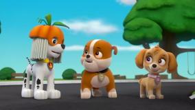 انیمیشن سگ های نگهبان - کارتون سگ های نگهبان - سگ های نگهبان دوبله فارسی