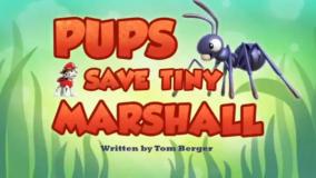 کارتون سگ های نگهبان _ دانلود انیمیشن سگ های نگهبان _ سگ های نگهبان